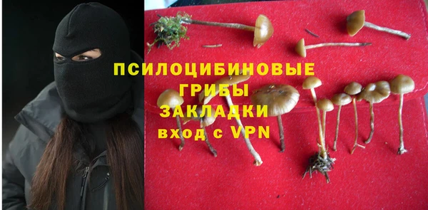 каннабис Абаза